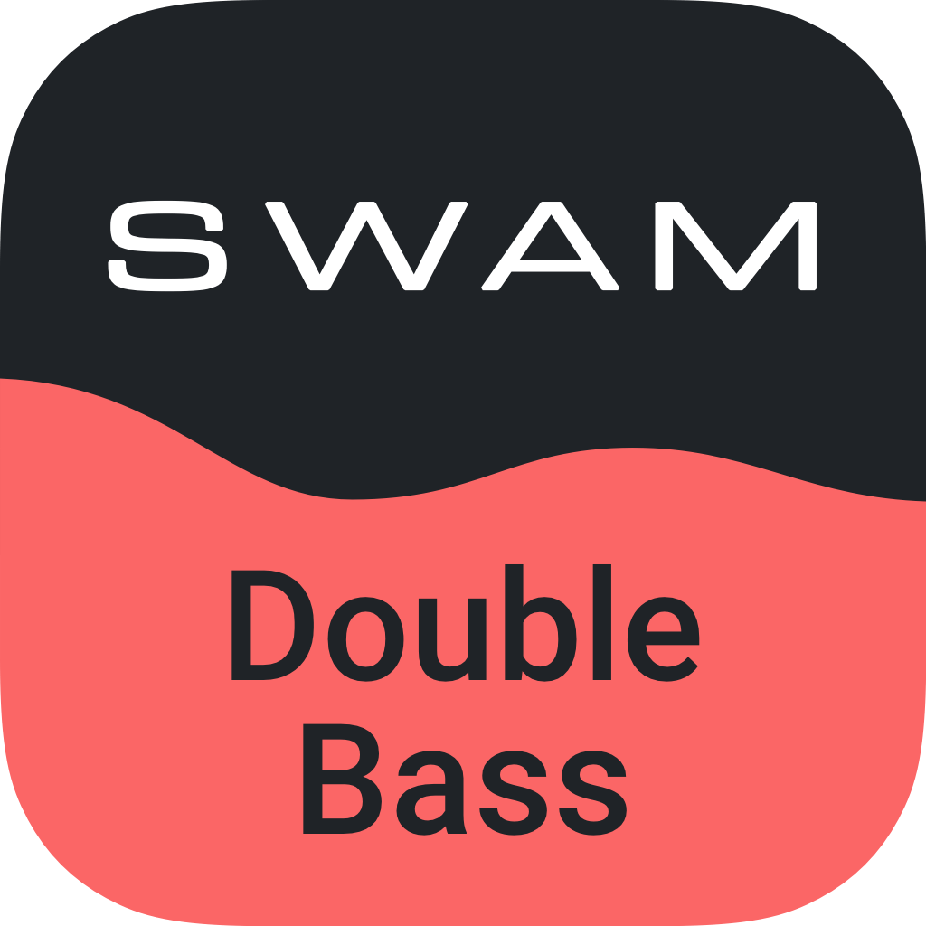 double Bass