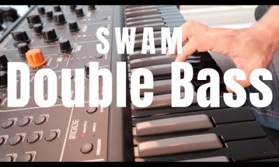 SWAM Double Bass In Action